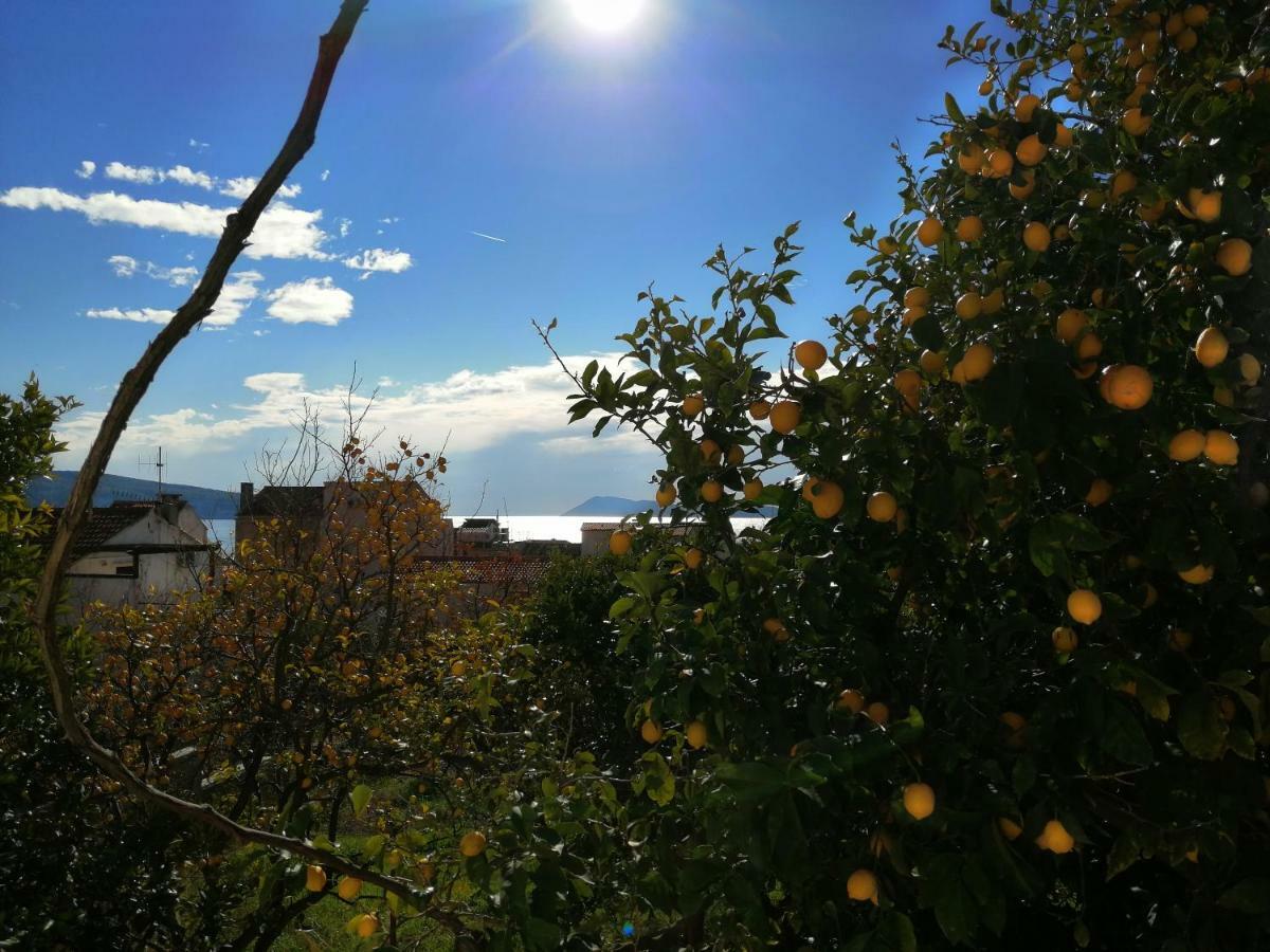 Apartment Marina Komiza Bagian luar foto